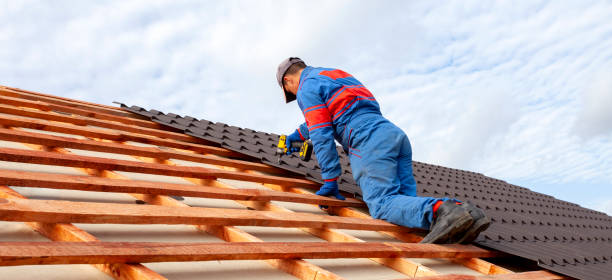 Best Roof Ventilation Installation  in Zeigler, IL